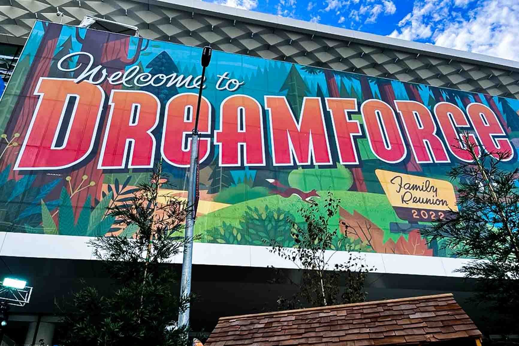 Dreamforce6